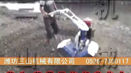 芋頭、草莓開(kāi)溝起壟作業(yè) 